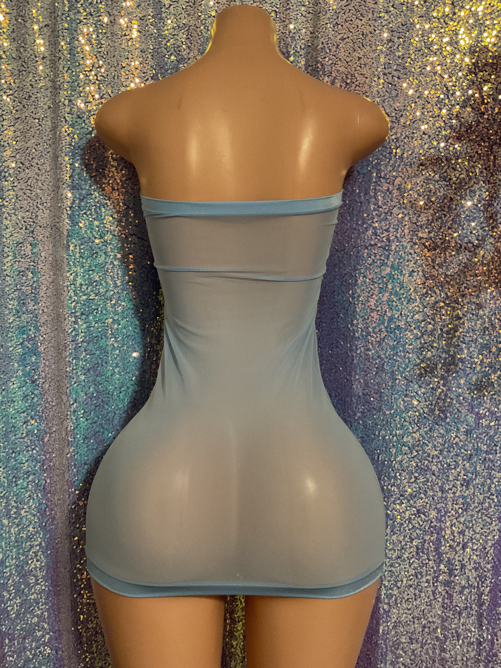 See through mesh mini tube dress