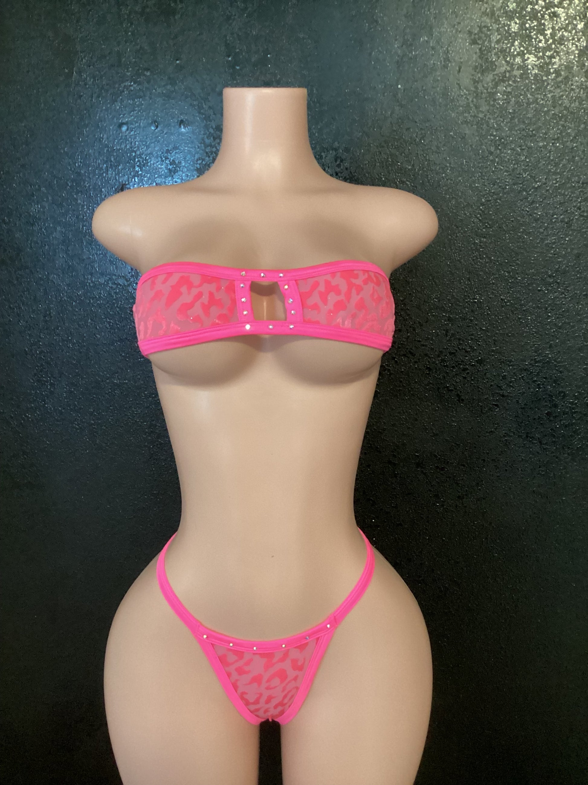 Leopard mesh micro bikini