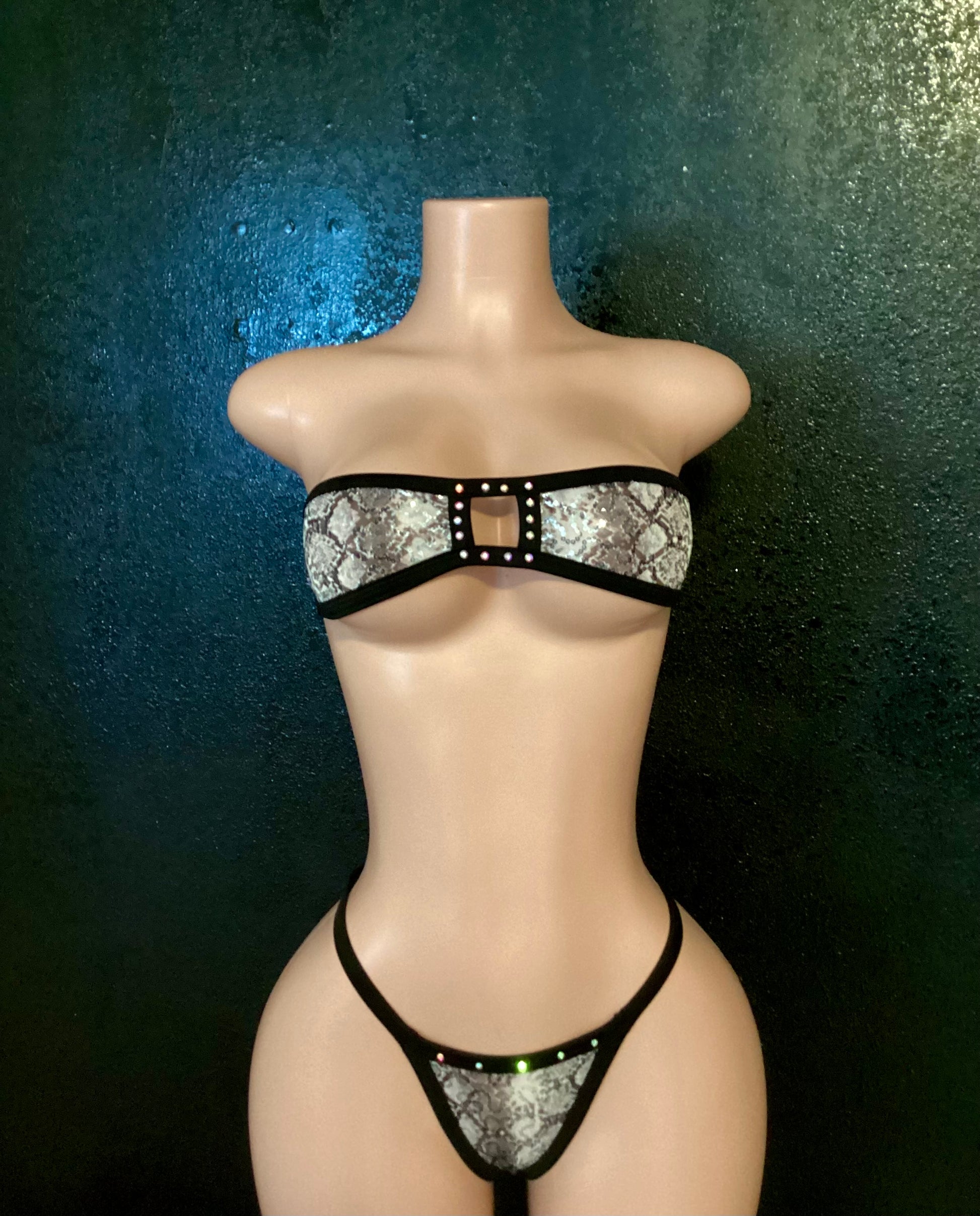 Sequin mesh g string bikini